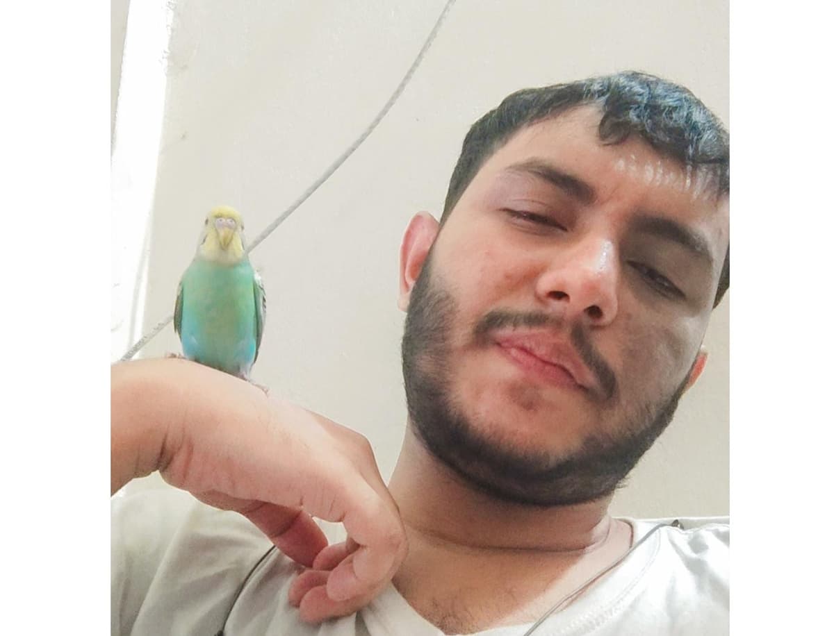 Looking at the sky, remembering